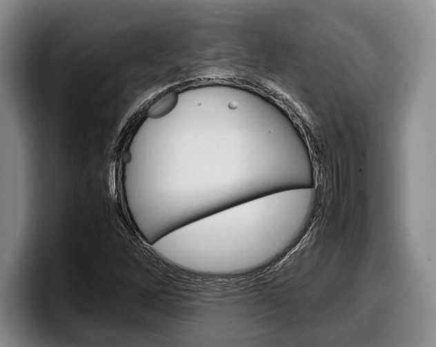 X0000100341262200806051217
