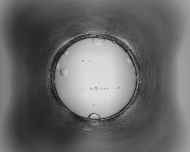 X0000100341263200806051217