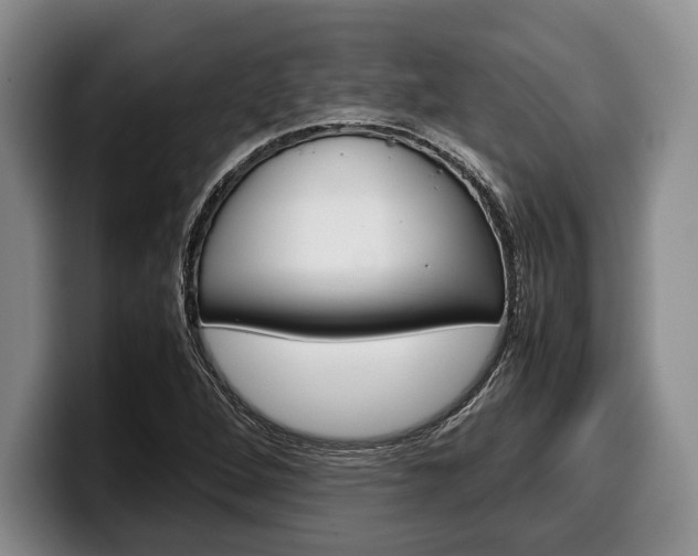 X0000100341264200806051217