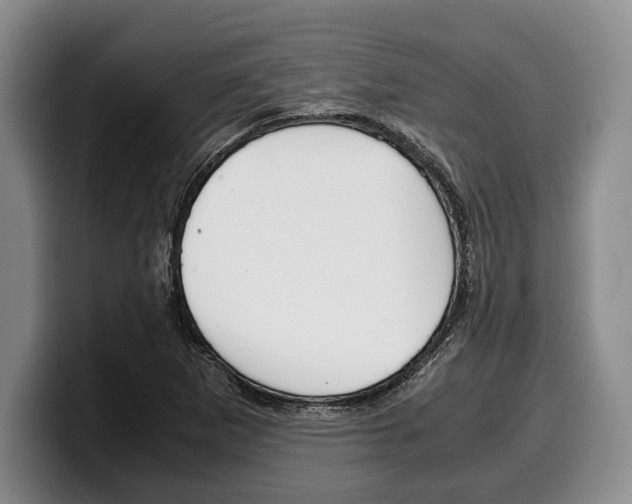 X0000100341265200806051217