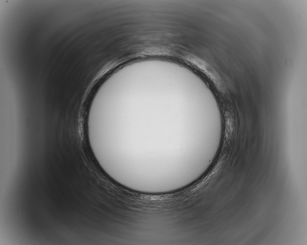 X0000100341266200806051217