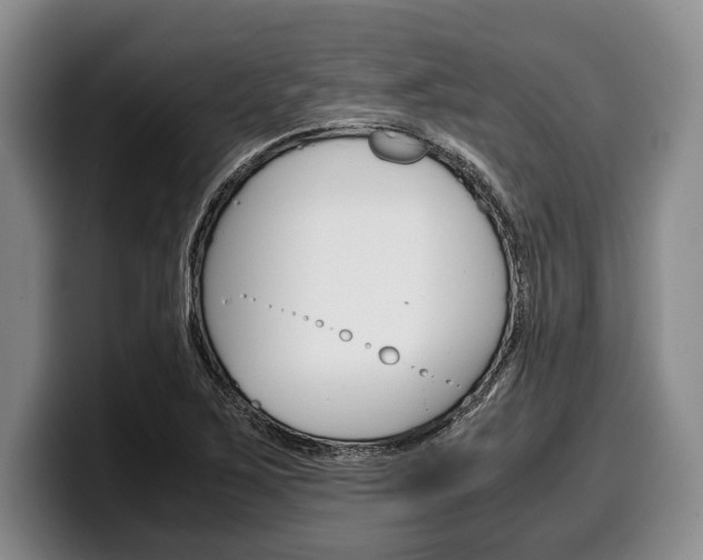 X0000100341267200806051217