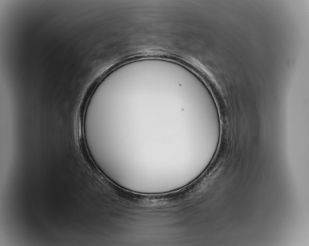 X0000100341269200806051217