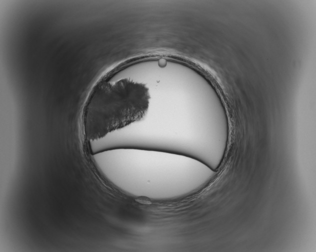 X0000100341271200806051217