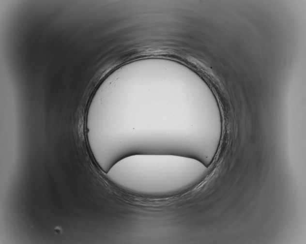 X0000100341273200806051217