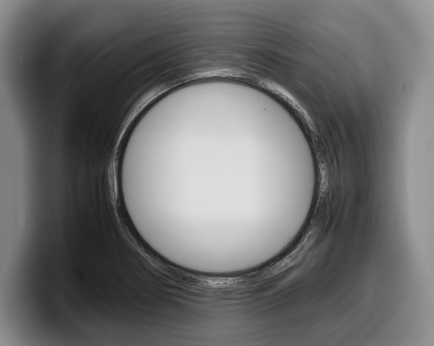 X0000100341274200806051217