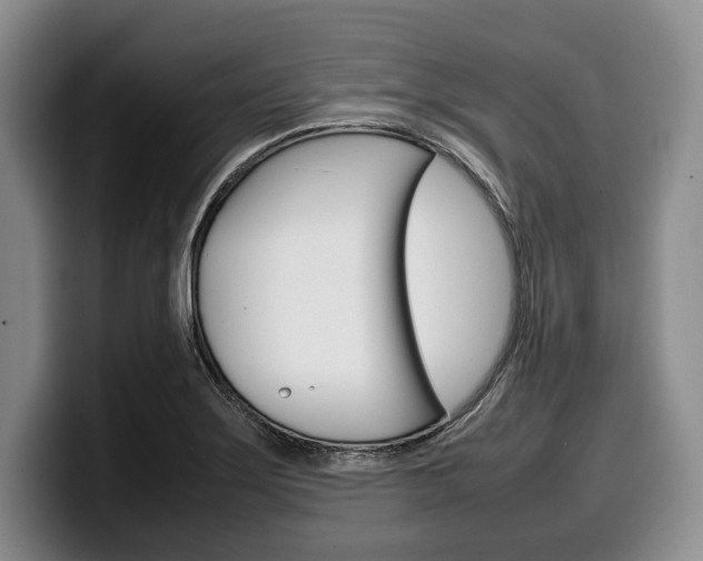 X0000100341275200806051217