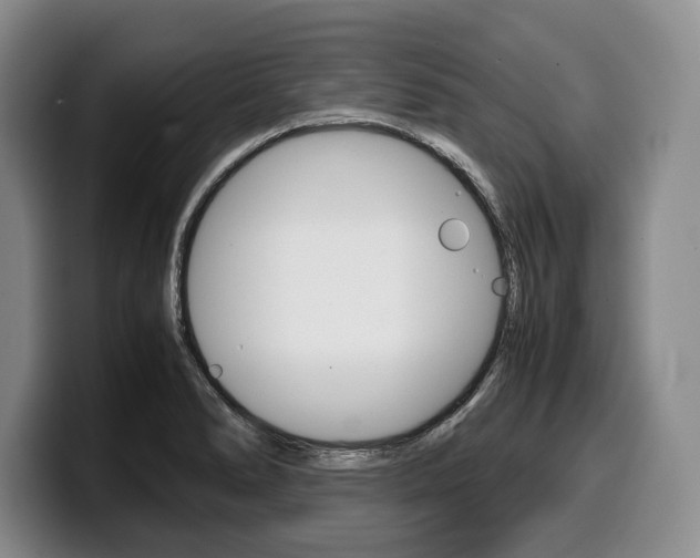 X0000100341278200806051217