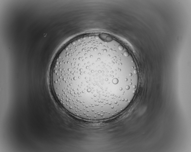 X0000100341279200806051217