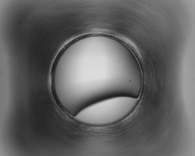 X0000100341280200806051217