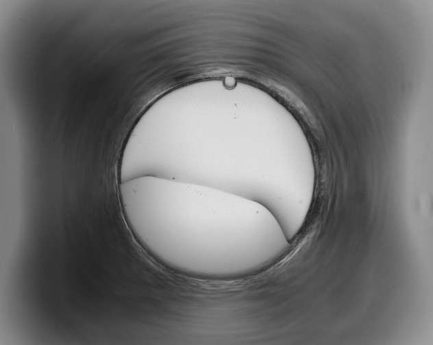 X0000100341281200806051217