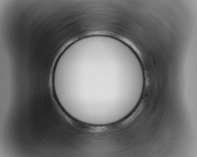 X0000100341282200806051217