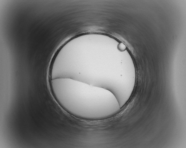 X0000100341285200806051217