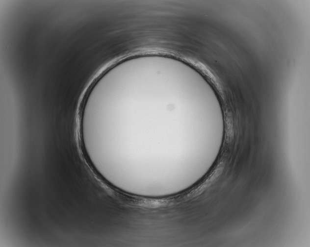 X0000100341286200806051217