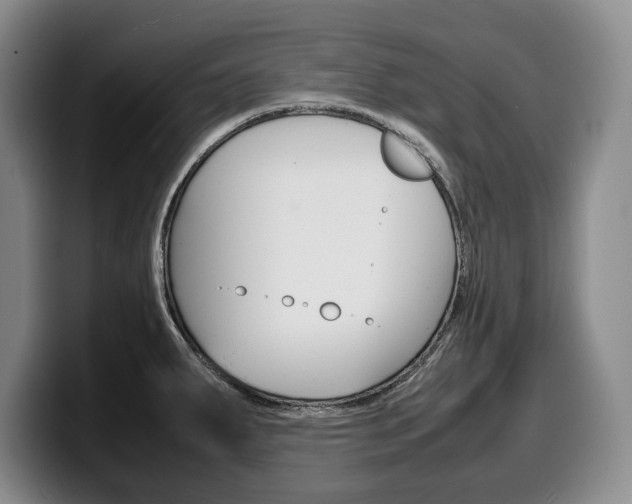 X0000100341287200806051217