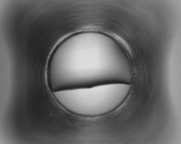 X0000100341288200806051217