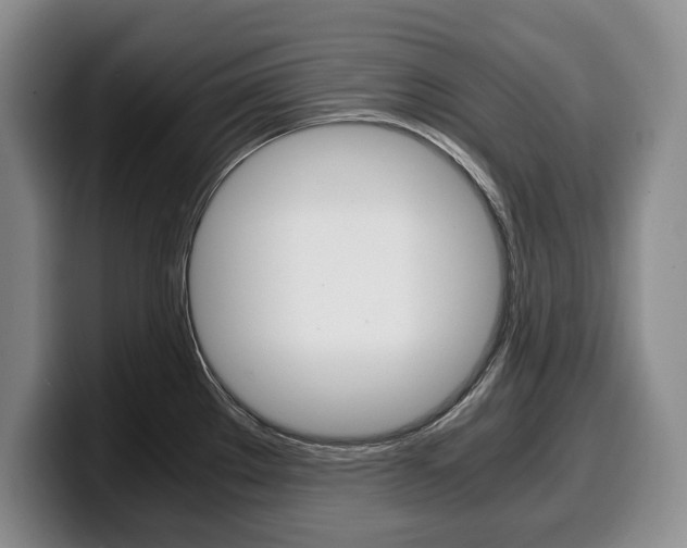 X0000100341289200806051217