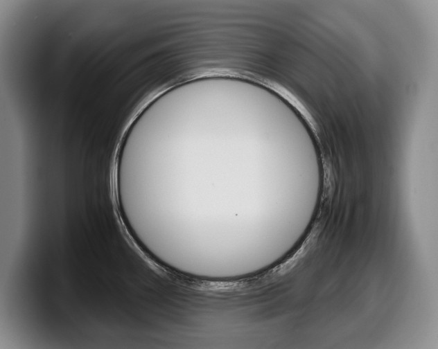 X0000100341290200806051217