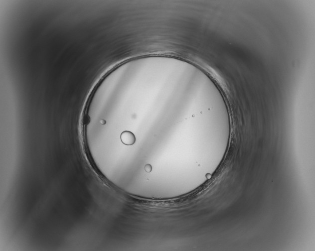X0000100341291200806051217