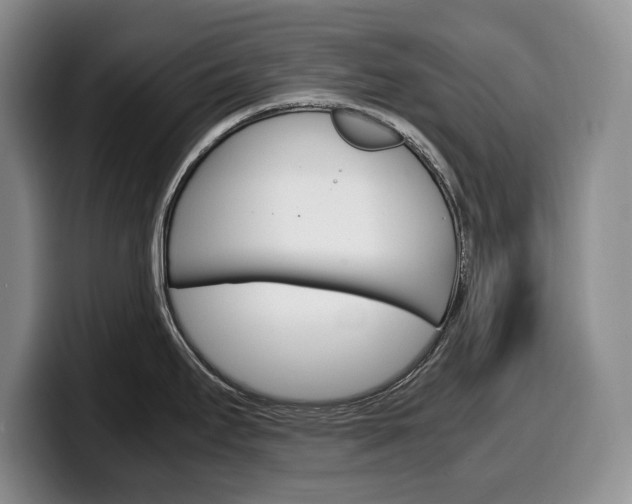 X0000100341295200806051217