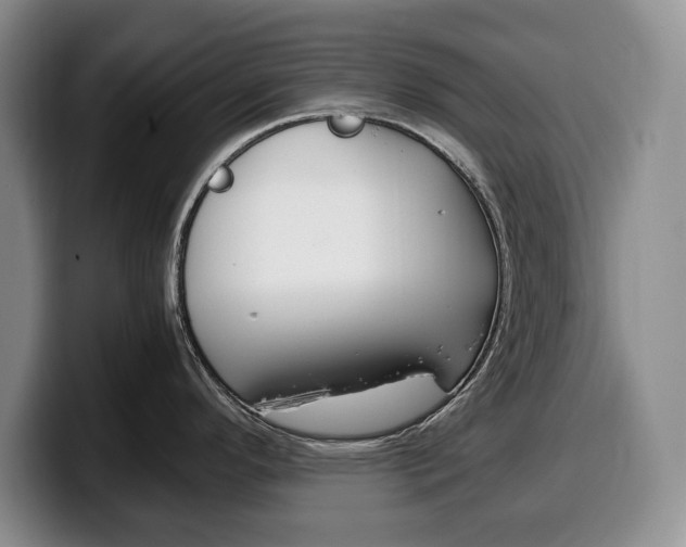 X0000100341296200806051217