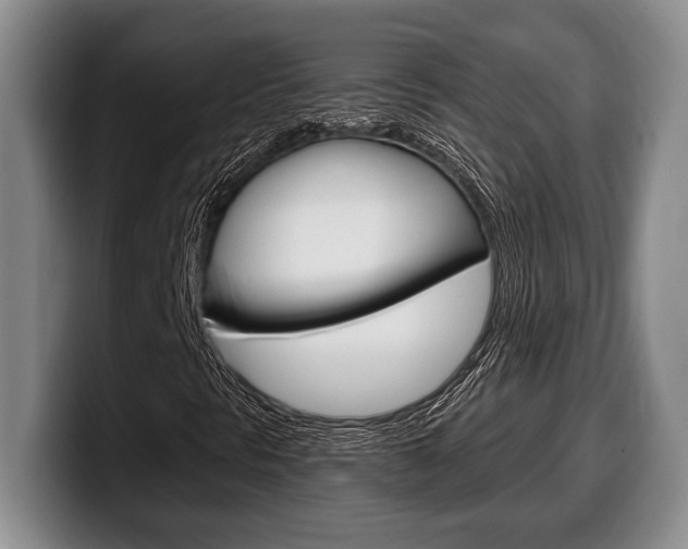 X0000100341297200806051216