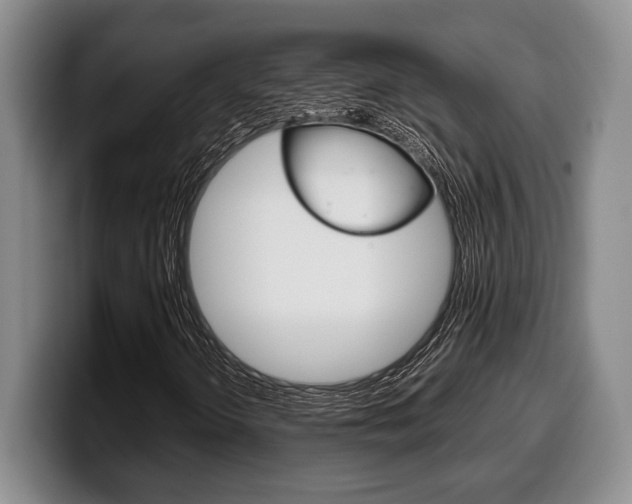 X0000100341298200806051216