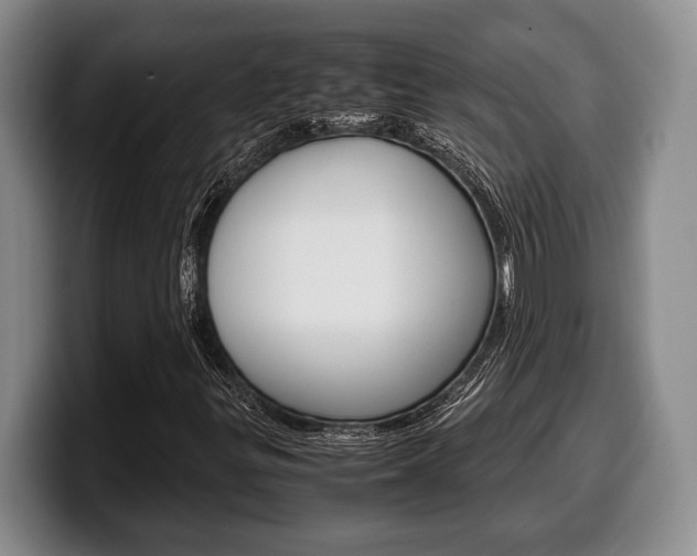 X0000100341299200806051216