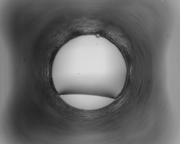 X0000100341300200806051216