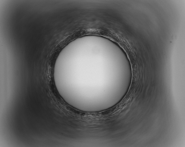 X0000100341301200806051216