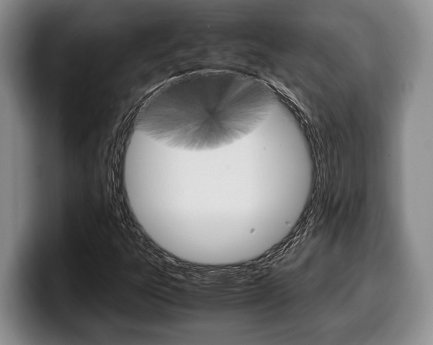X0000100341303200806051216