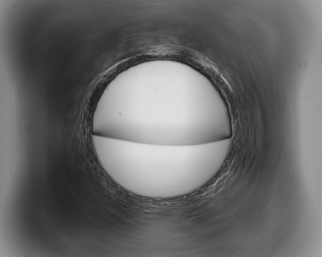X0000100341304200806051216