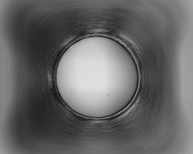 X0000100341305200806051216