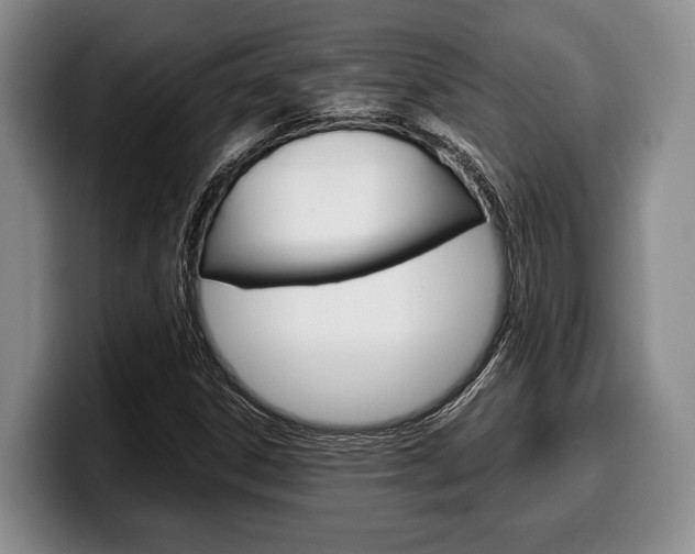 X0000100341306200806051216