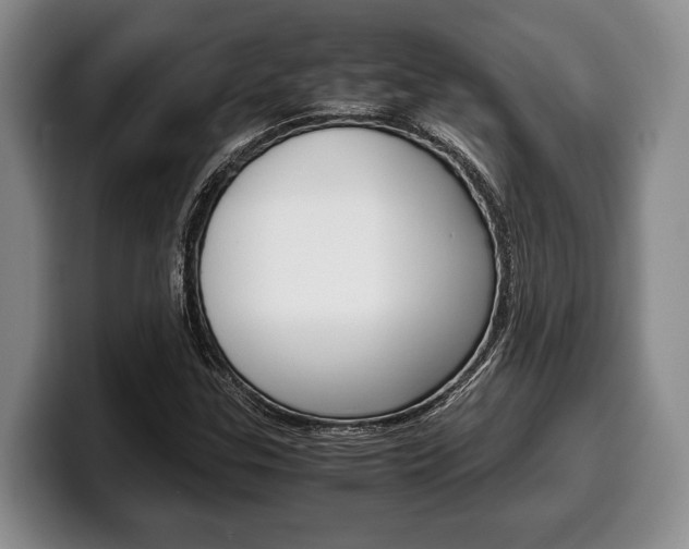 X0000100341307200806051216