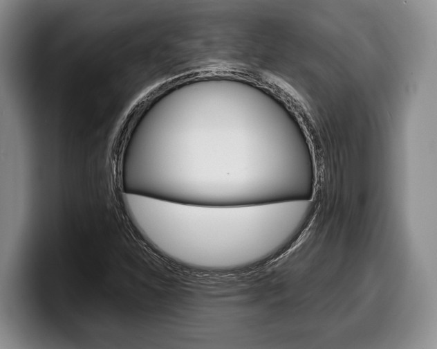 X0000100341310200806051216