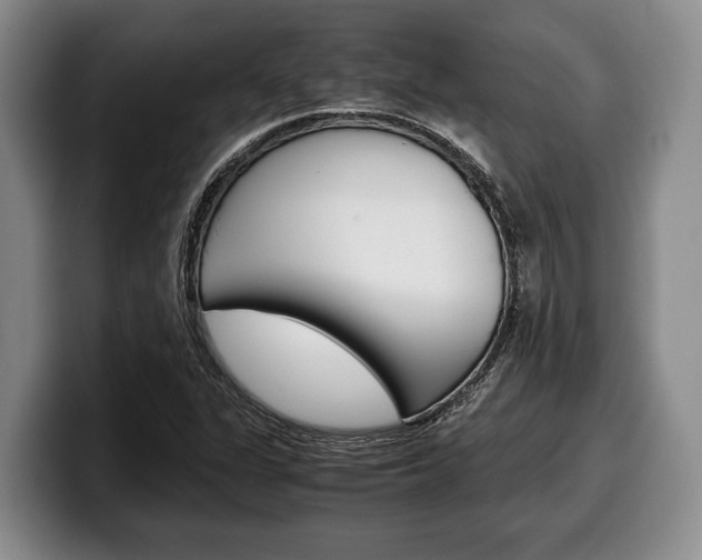 X0000100341311200806051216