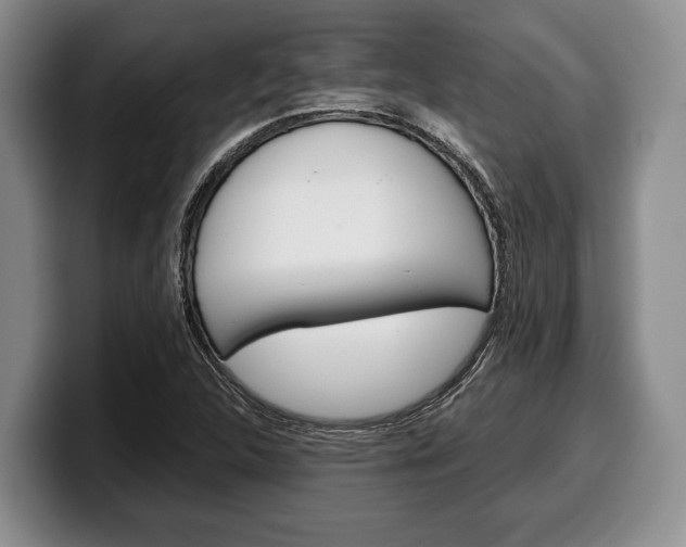 X0000100341312200806051216