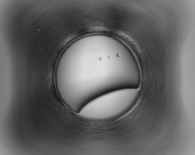 X0000100341313200806051216
