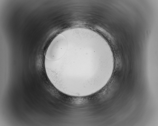 X0000100341314200806051216