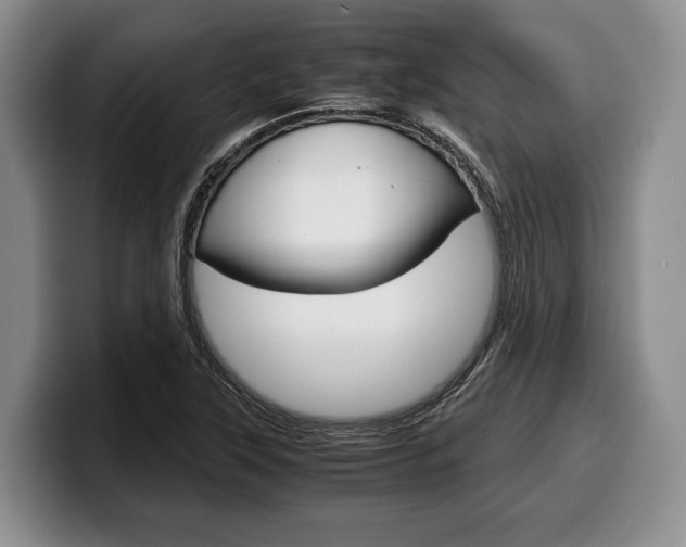X0000100341315200806051216