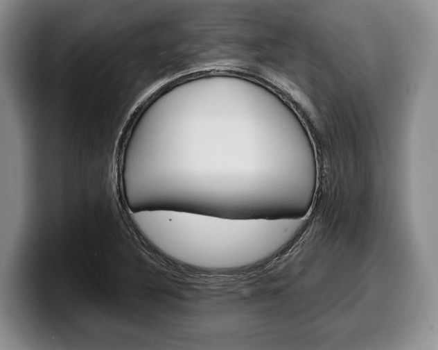 X0000100341316200806051216