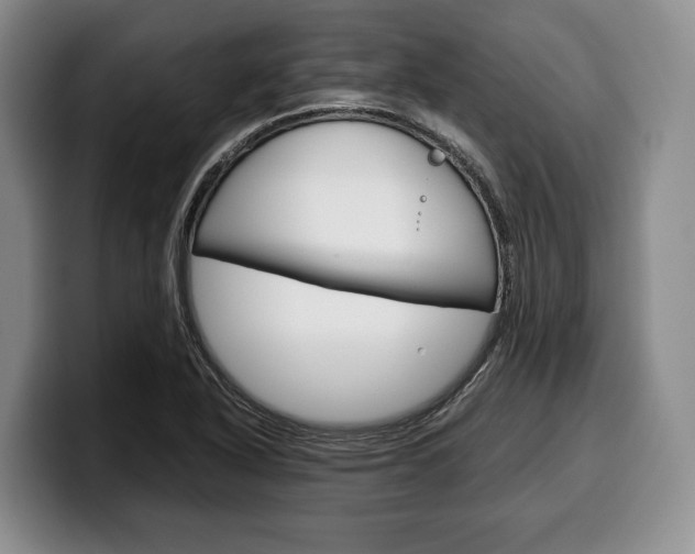 X0000100341318200806051216