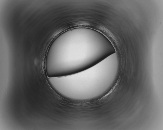 X0000100341321200806051216