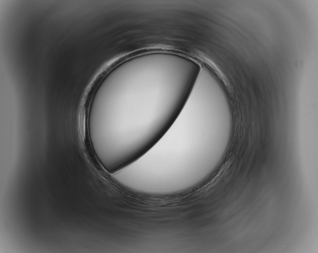 X0000100341323200806051216