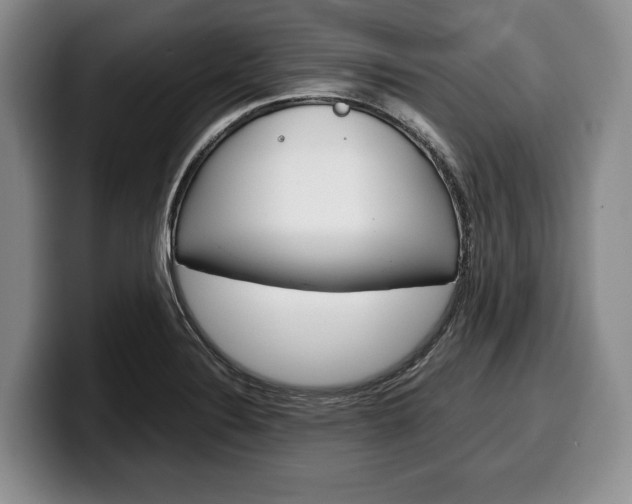 X0000100341324200806051216
