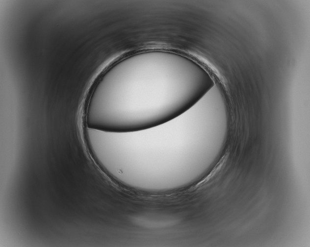 X0000100341325200806051216