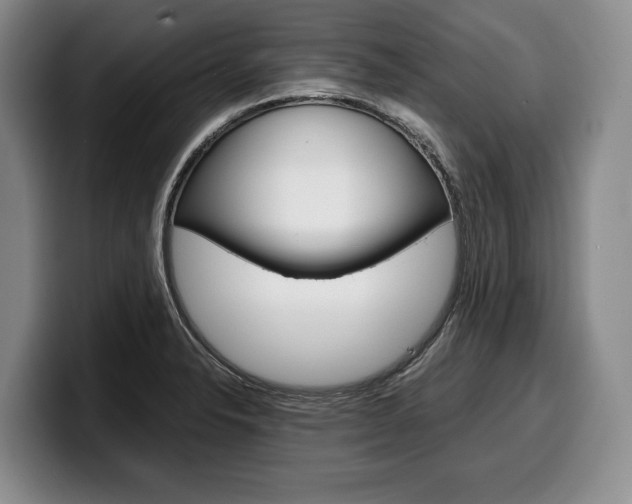 X0000100341326200806051216