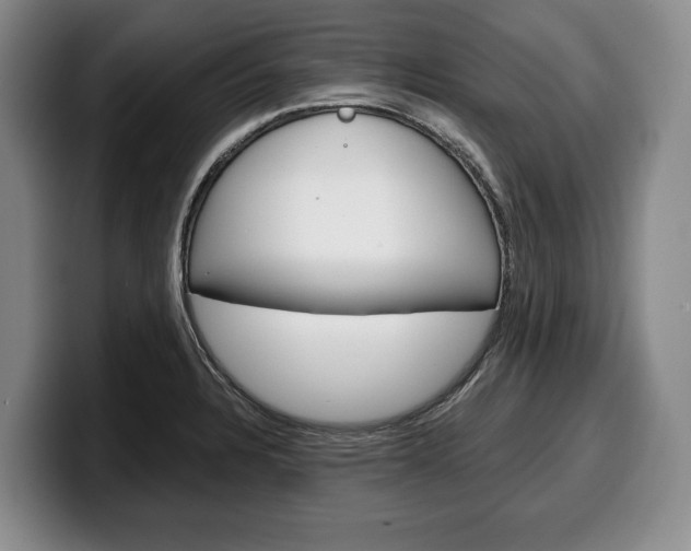 X0000100341328200806051216