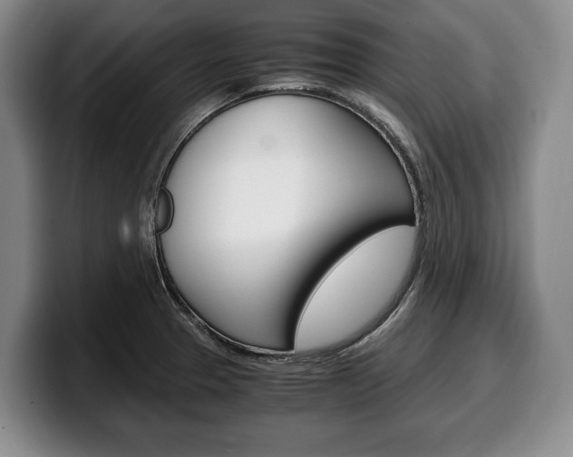 X0000100341329200806051216